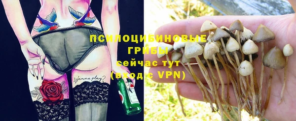 спиды Армянск