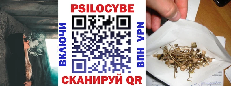 Псилоцибиновые грибы ЛСД  Новая Ладога 